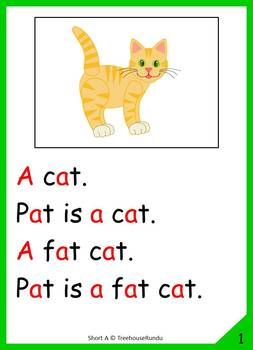 Short vowel a reader & worksheets & flashcards - Pat the cat